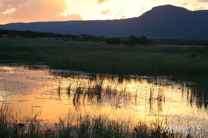 Mud Maps Africa Entabeni 8444